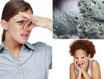 家里有異味怎么辦？科學除味、治理甲醛就對了！